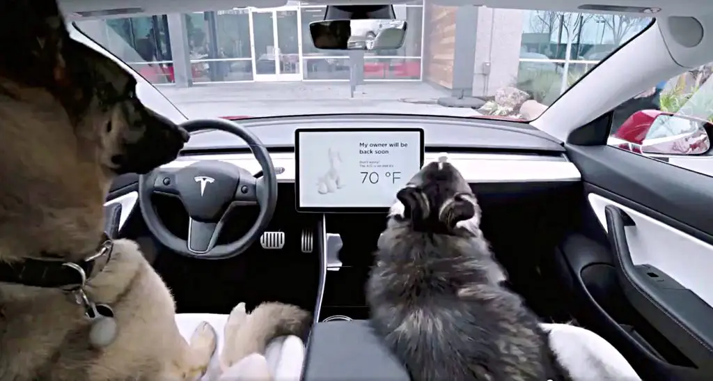 Tesla dog mode feature