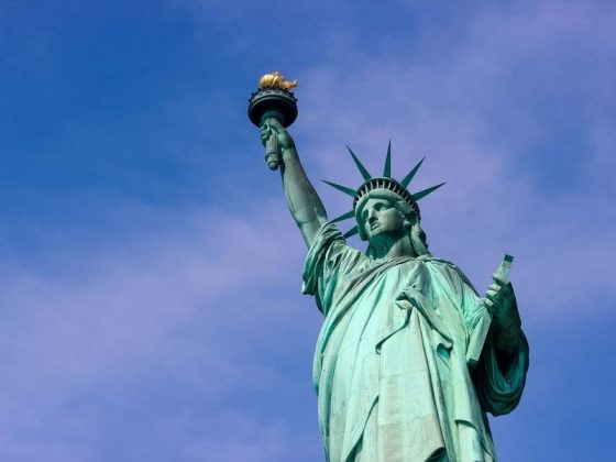 How did Elon Musk become a US citizen? – ProVsCons